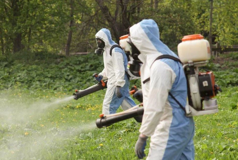 ФОТО Уничтожение клопов в районе станции метро Нагатинская