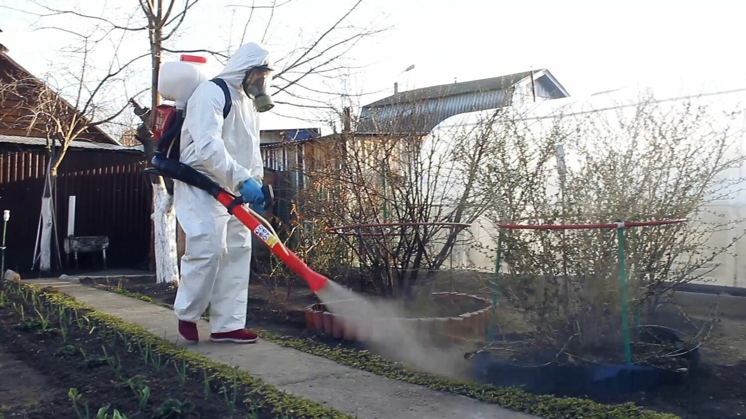 ФОТО Уничтожение муравьёв в районе станции метро Нагатинская
