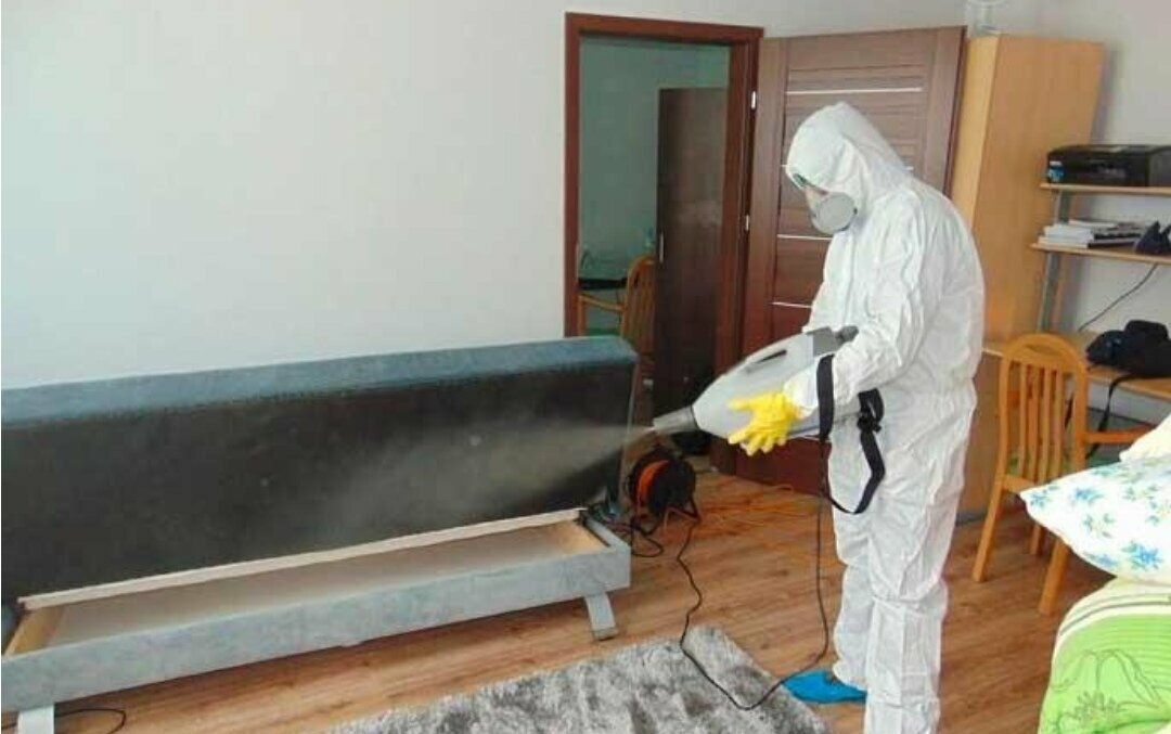 ФОТО Уничтожение блох в районе станции метро Нагатинская