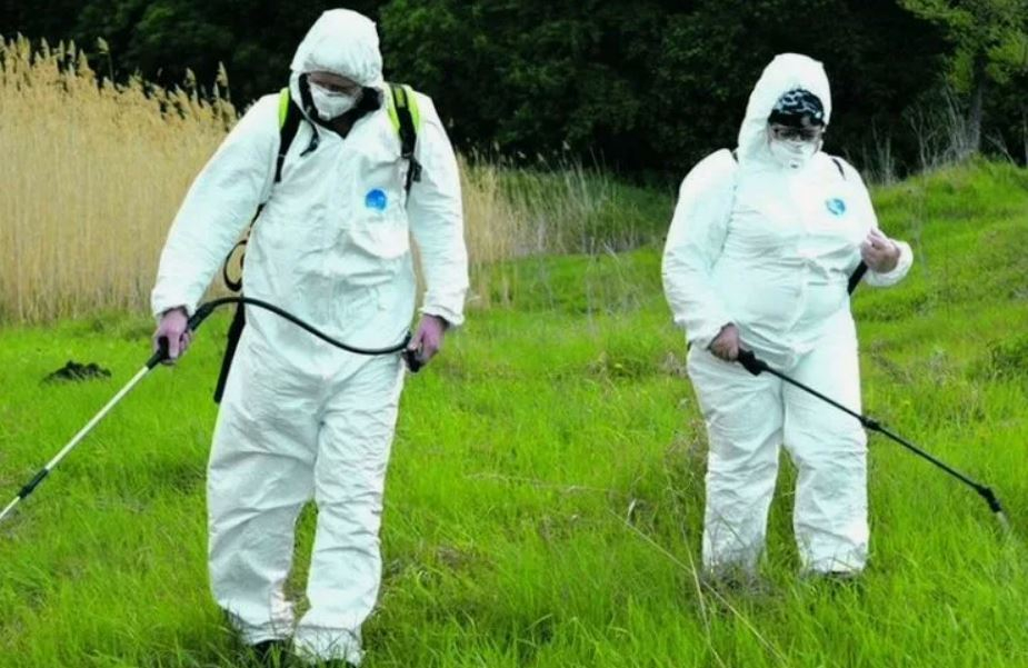 ФОТО Обработка от клещей в районе станции метро Нагатинская