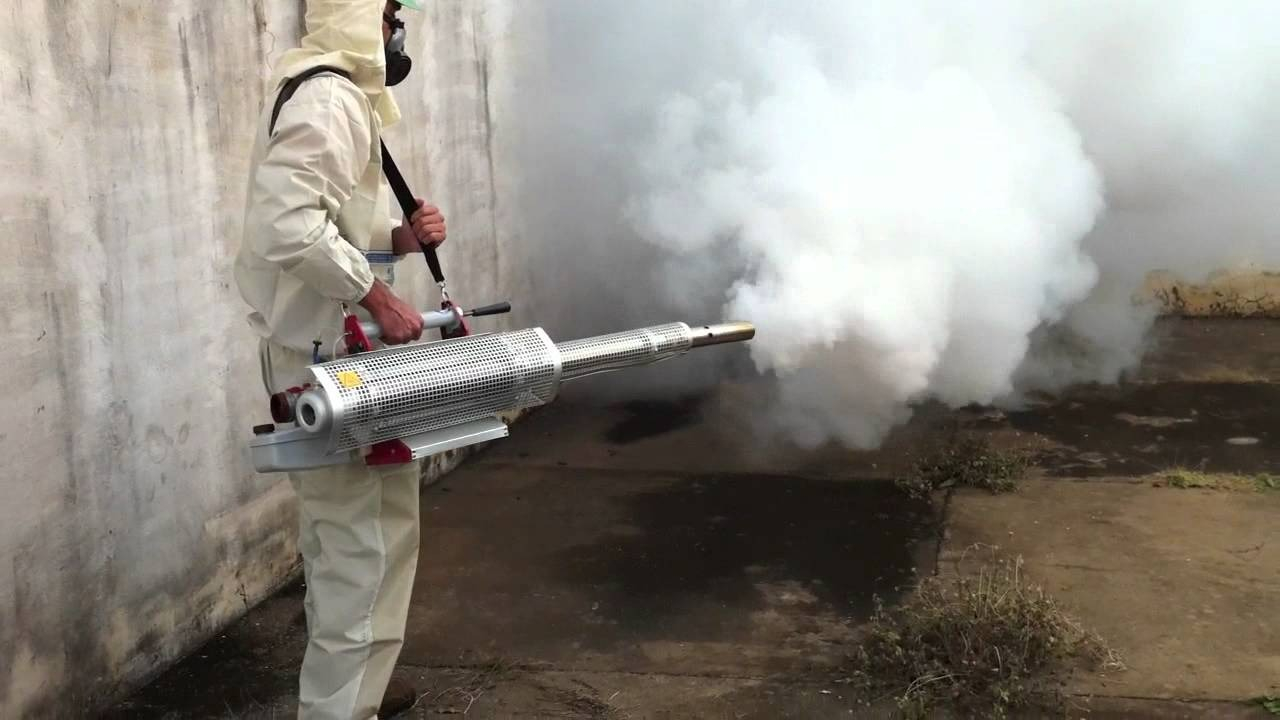 ФОТО Уничтожение мух в районе станции метро Нагатинская