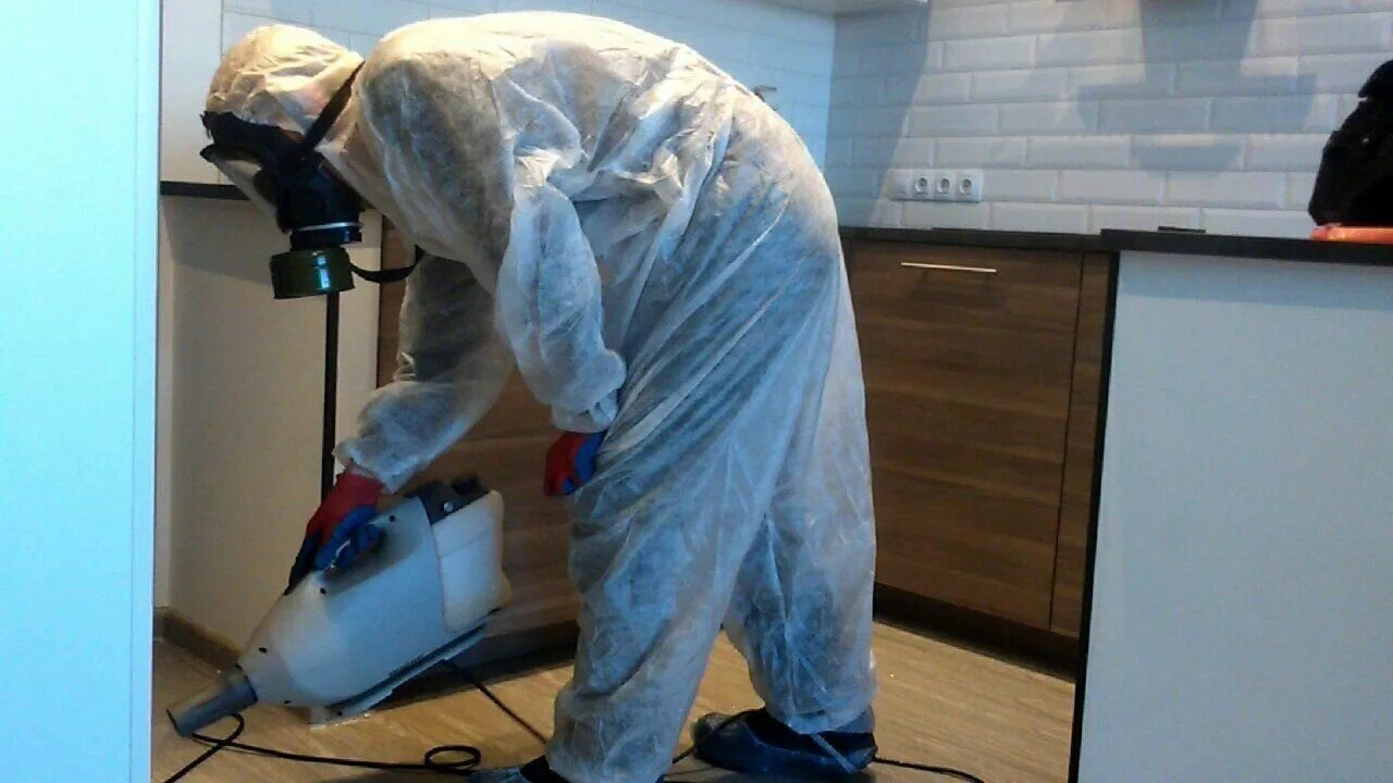 ФОТО Как подготовить домашних животных к обработке от насекомых в районе станции метро Нагатинская? | подробно