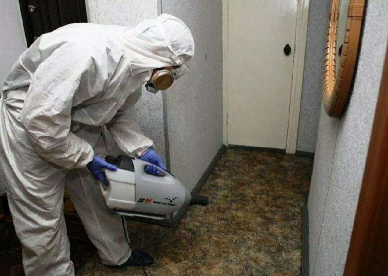 фото: Профессиональная дезинсекция в районе станции метро Нагатинская: <br/>+7-909-173-42-96